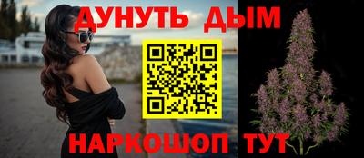 стаф Моздок