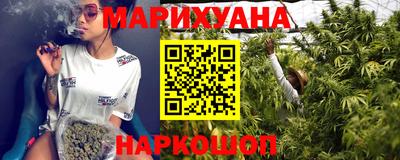 дживик Можга