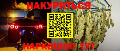 стаф Моздок