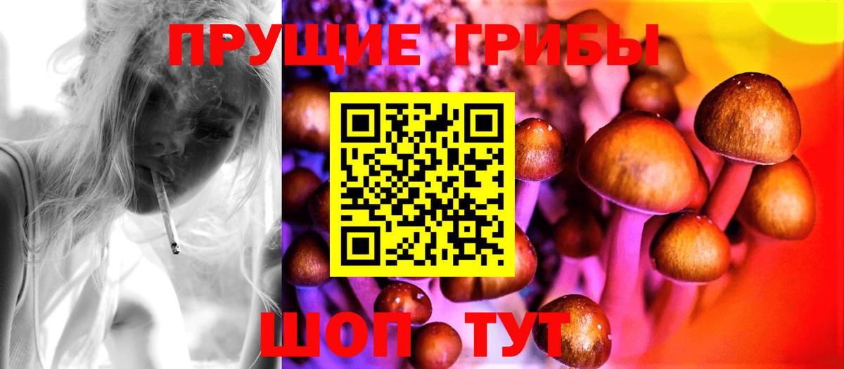 Галлюциногенные грибы MAGIC MUSHROOMS Уварово