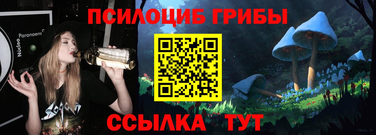 Галлюциногенные грибы Psilocybine cubensis  Псилоцибиновые грибы Cubensis  Уварово  Вход с VPN 